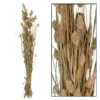 Droogbloem Manerba Wit