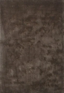 Karpet CAPRICE 170x240 beige