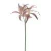 Kunstbloem Varenzo Hoya lelie bruin