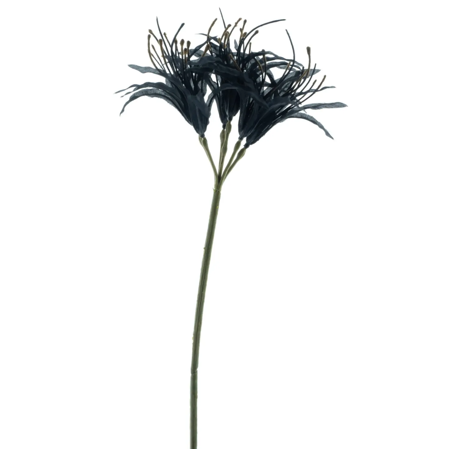 Kunstbloem Varenzo Nerine zwart