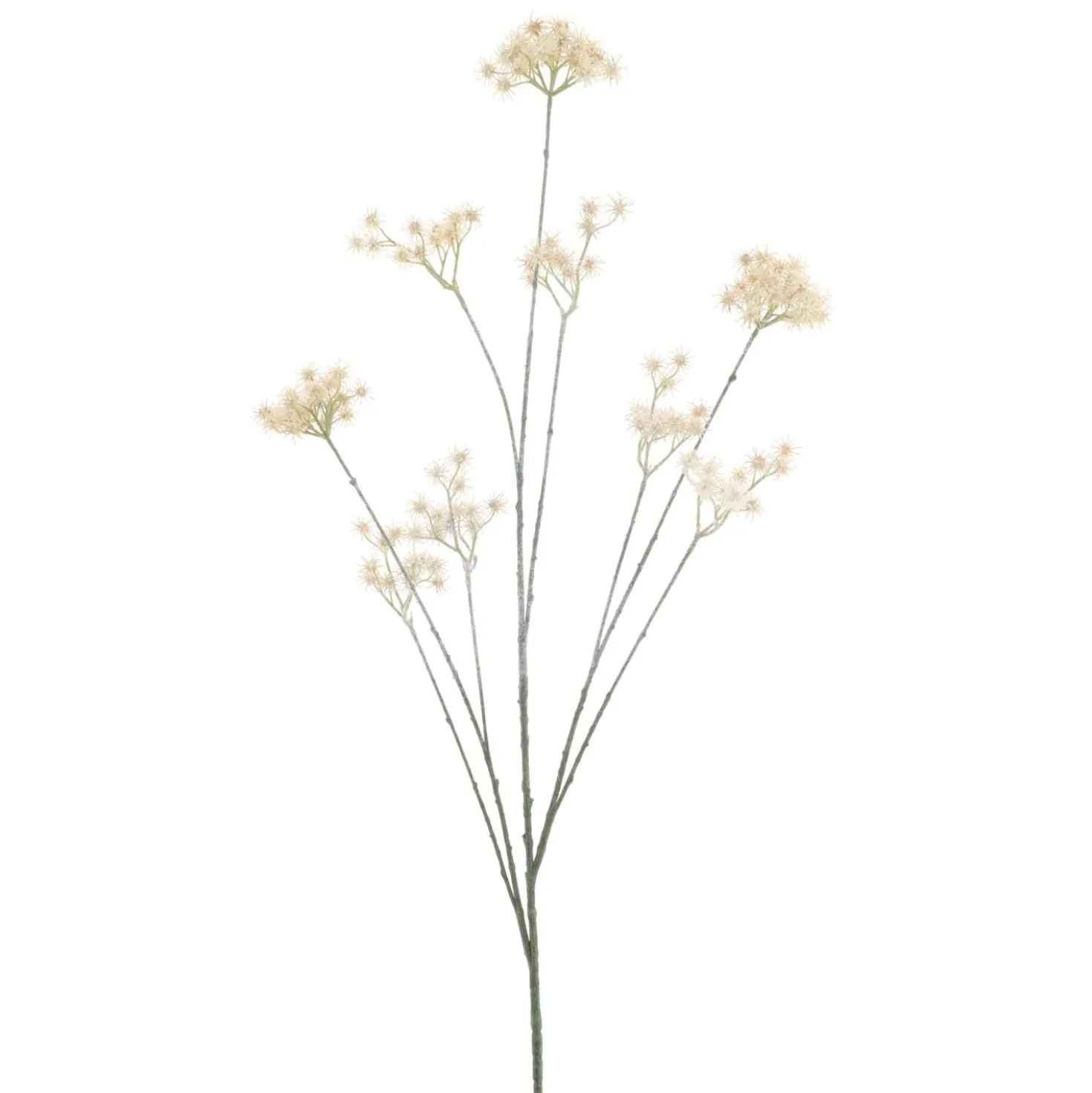 Kunstbloem Varenzo Wilde peen beige