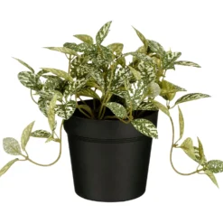 Kunstplant Curone Fittonia groen
