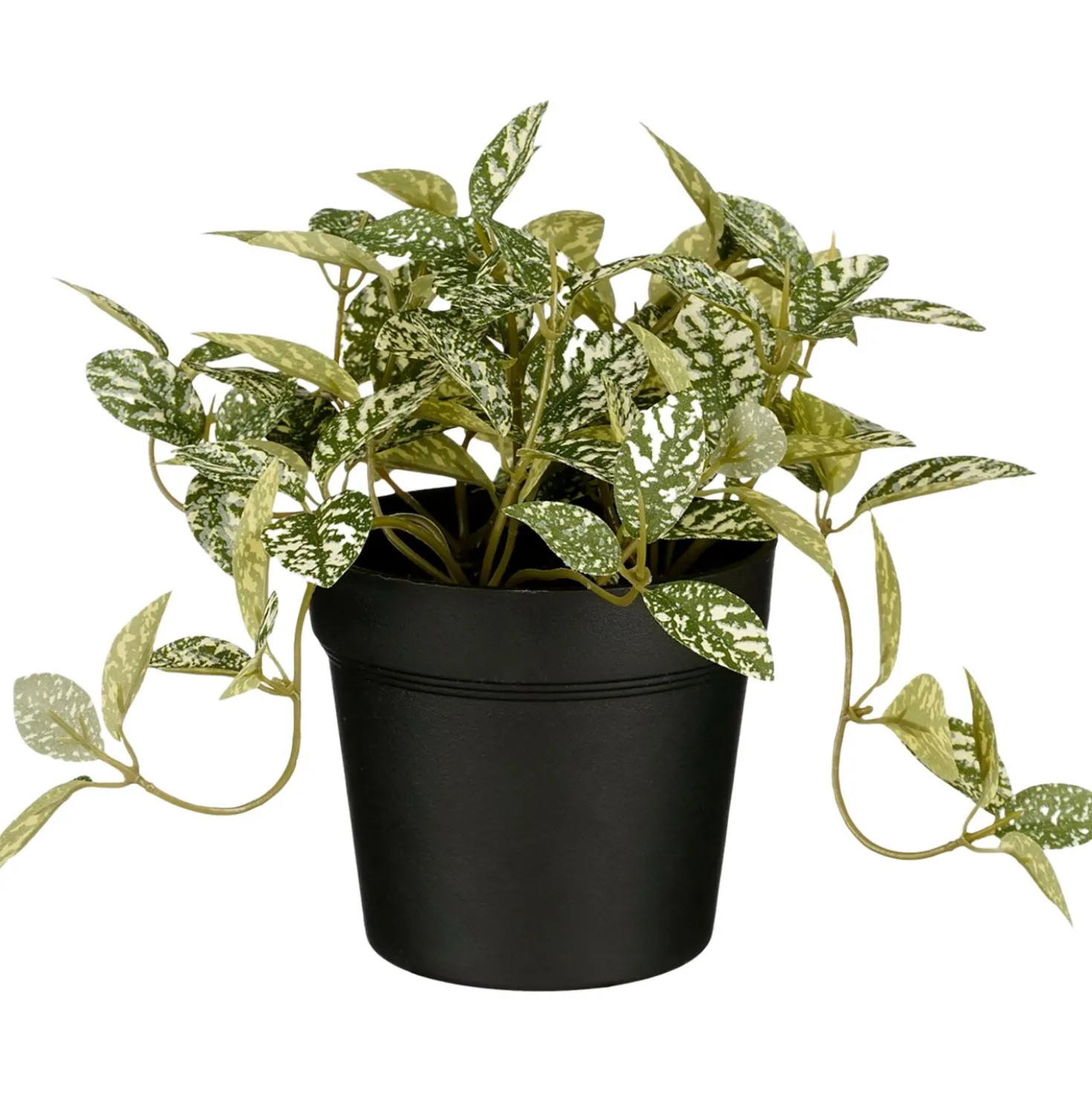 Kunstplant Curone Fittonia groen