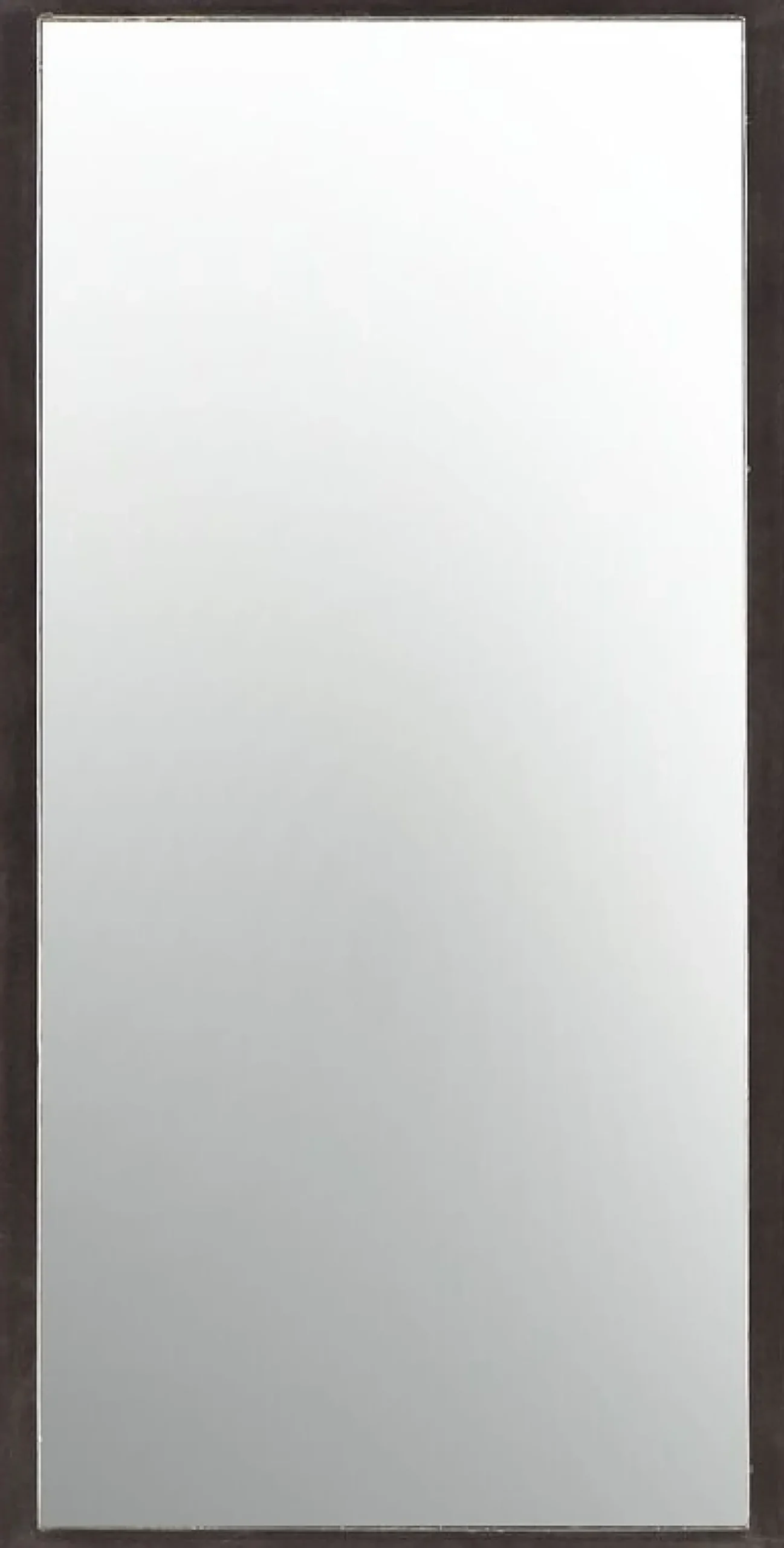 Spiegel Carpino Metaal 80x40 cm