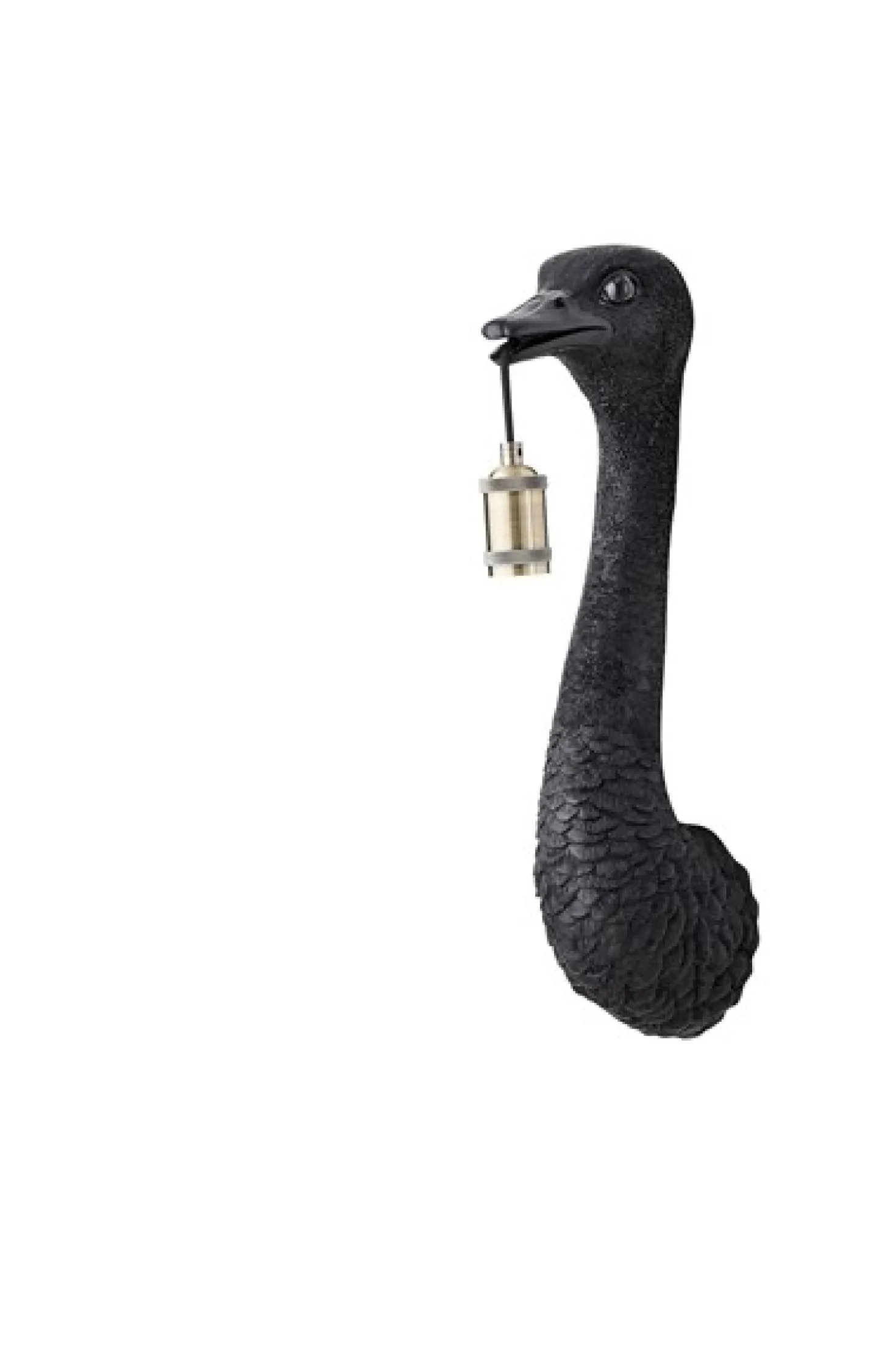 Wandlamp struisvogel Mat zwart
